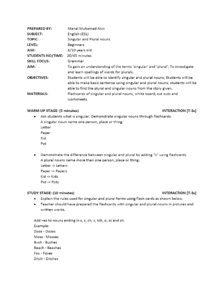 Singular Plural Nouns Lesson Plan PDF