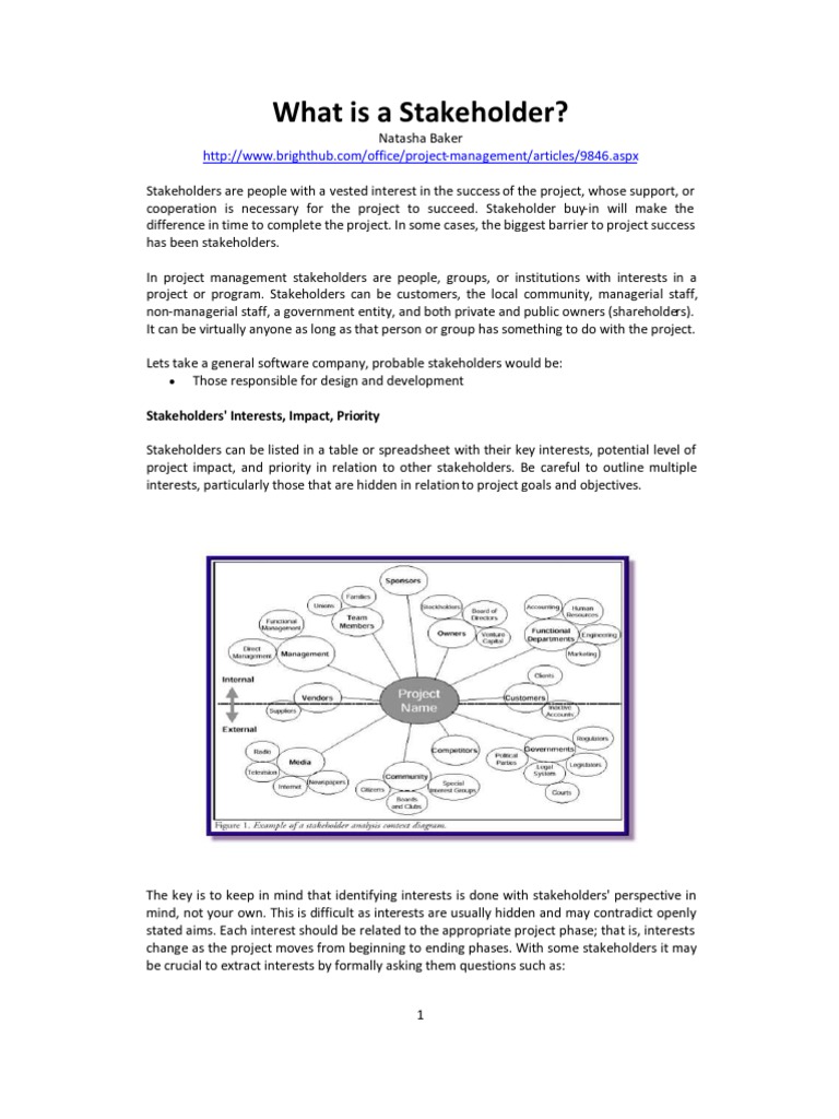Stakeholder Analysis | PDF | Stakeholder (Corporate) | Project Management