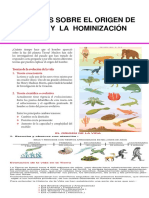 Origen de La Vida y HOMINIZACIÓN