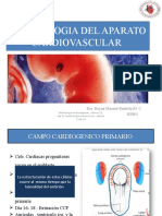 Minimagistral Embrio