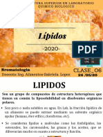 Clase 06 - Lipidos I