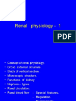 Renal Physiology - 1