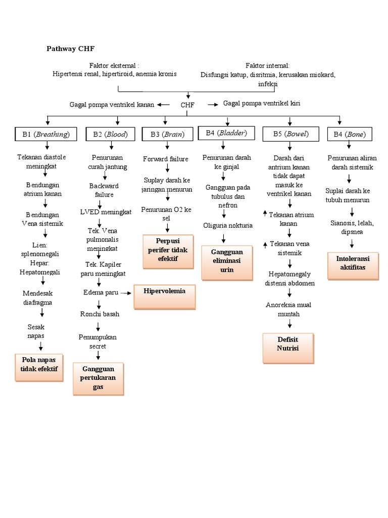 Pathway Gagal Jantung Kongestif | PDF