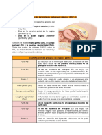 Cuantificación del prolapso de órganos pélvicos (POP-Q