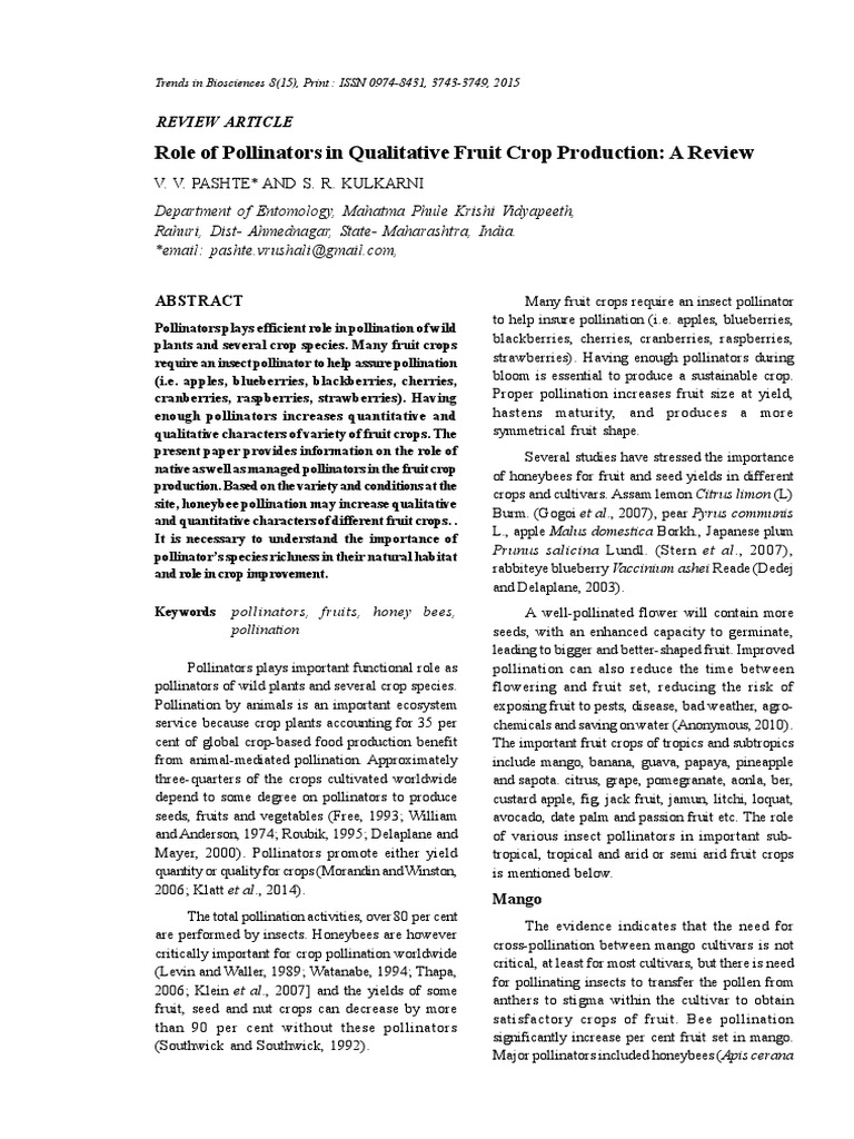 Pear Pollen's Role in Orchard Pollination | PDF | Pollination | Honey Bee