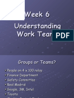 Week 6 Groups and Teams