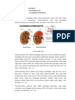 LP Glomerulonefritis