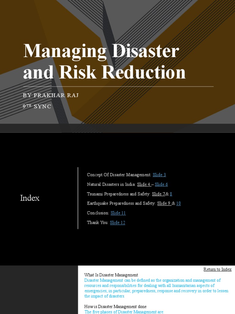 Disaster Management Overview and Insights | PDF | Emergency Management ...