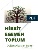 Hi̇bri̇t Egemen Toplum