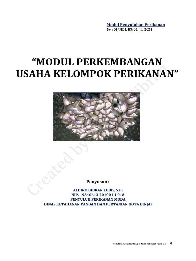 Model Usaha Kelompok Perikanan Indonesia | PDF