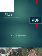 Pitch Presentation Converted Compressed