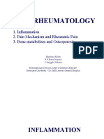 Basic Rheumatology: 1. Inflammation 2. Pain Mechanism and Rheumatic Pain 3. Bone Metabolism and Osteoporosis