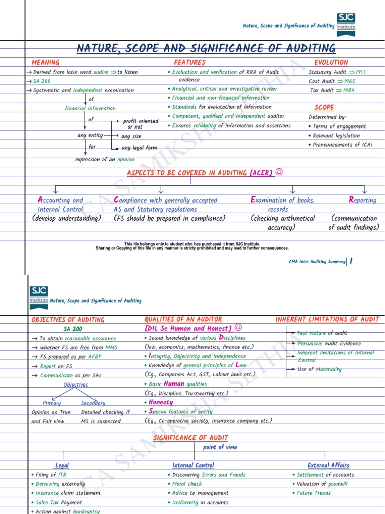 Nature and Scope of Auditing Overview | PDF | Audit | Accounting