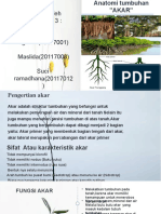 Kelompok 3 - PPT Akar