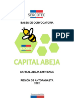 Base Capital Abeja