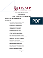 Patologia Del Prematuro Final Informe