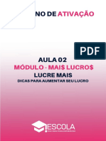 Aula 02 - Lucros - Bianca Campos