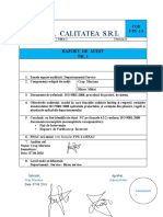 F PS-1-3-Raport de Audit