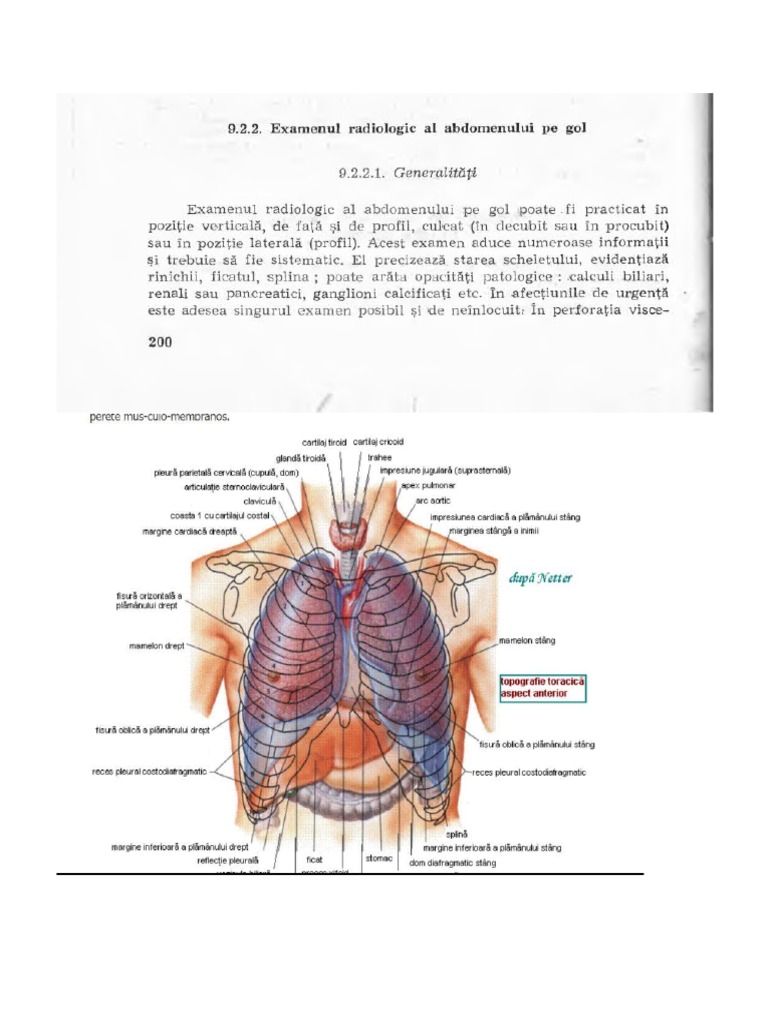 Poze Explicate | PDF