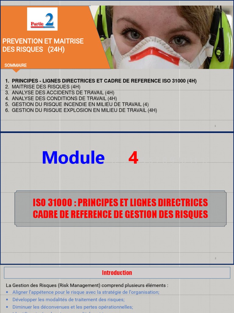 Module 4 Principes Et Lignes Directrices de Gestion Des Risques Selon ...