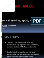 PERSALINAN NORMAL DR Adi - RS PELNI