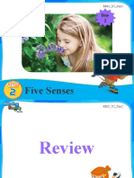 Five Senses: RRS2 - U2 - Day2