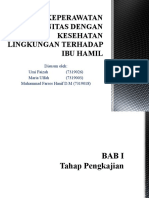 Keperawatan Komunitas Dengan Kesehatan Lingkungan Terhadap Ibu Hamil