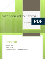 the central nervous system