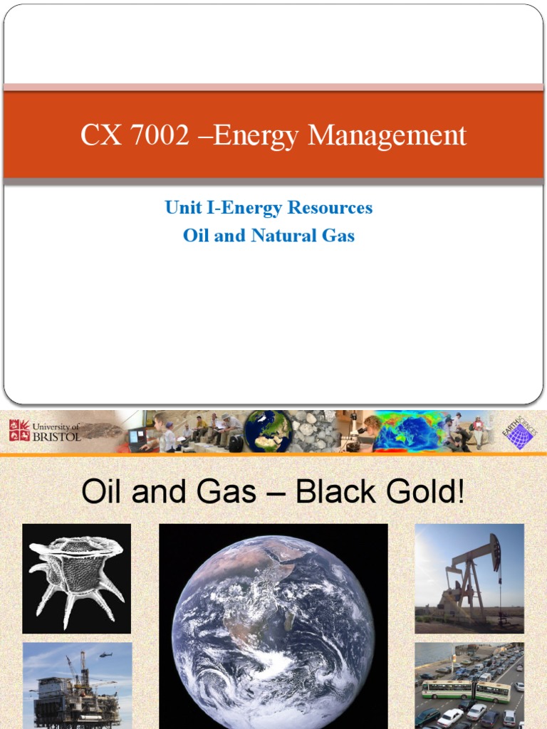 Oil and Natural Gas | PDF | Petroleum | Natural Gas
