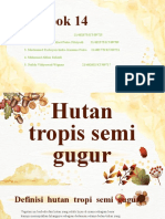 Hutan Tropis Semi Gugur