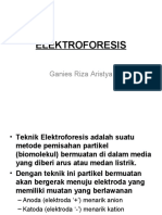 Elektroforesis 08