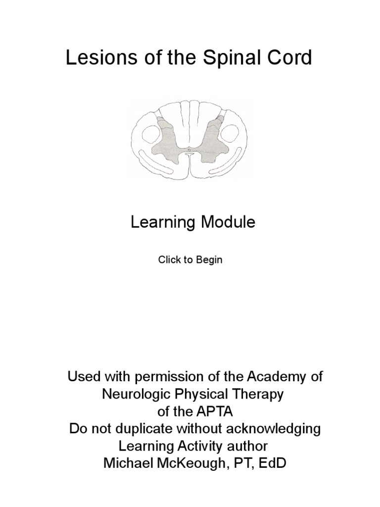 Spinal Cord Lesions Learning Module | PDF | Spinal Cord | Somatosensory ...