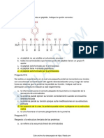 Examen IBCM