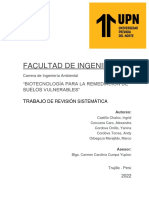 FORMATO - Proyecto de Revisón Sistemática Micro - Grupal