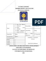 Tutorial Report Enterprise Design and Analysis Financial Module