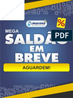 13 Saldão Breve