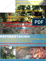 REFORESTACION Exposicion