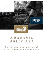 Amazonia Boliviana de La Barraca Patronal A La Industria Castaniera