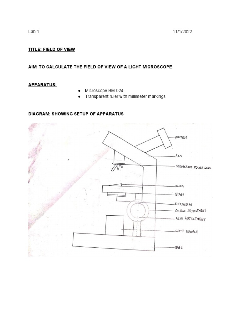 1 Lab 1 Field of View 11 1 PDF Microscope Field Of View