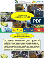 Proyecto Socioproductivo-1