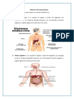 Dinámica Del Cuerpo Humano