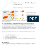 3° Ley, El Sistema Ontogénico