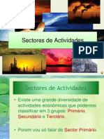 Sectores de Actividades