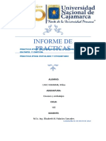 Informe de Practicas