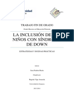 Articulo 1 Sindrome Dowm