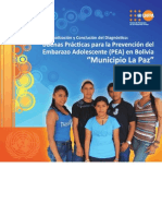 Buenas Prácticas Prevencion Embarazo Adolescentes La Paz Bolivia