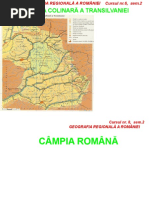 Monografia Caracal | PDF