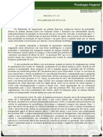 7 - 8 Polaridade em Estacas de Plantas