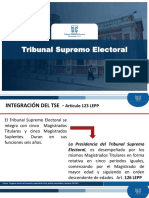 Órganos Electorales Permanente y Temporales GT