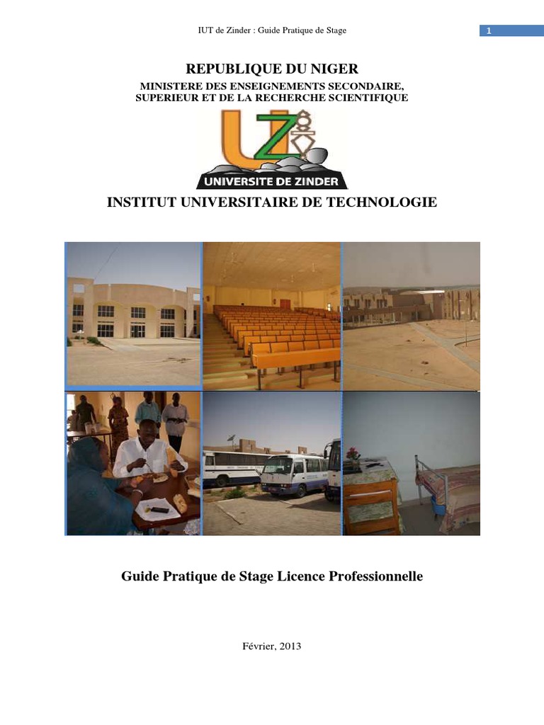Guide de Stage à l'IUT de Zinder | PDF | Pédagogie | Plagiat